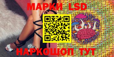 МДПВ Гатчина