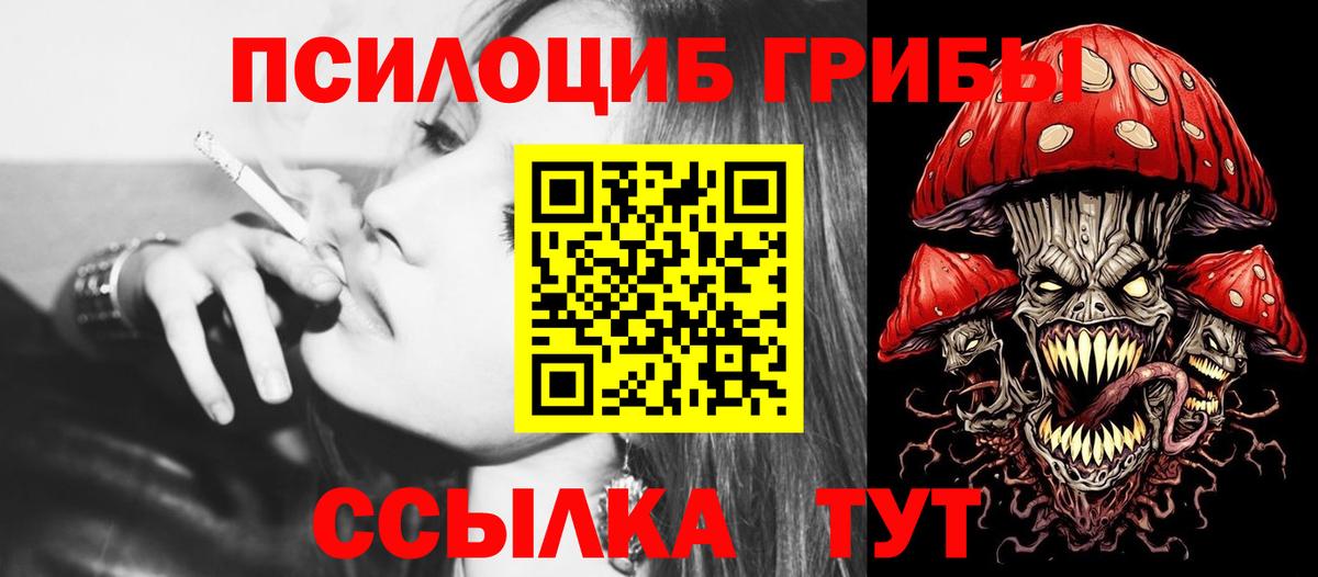 Жигулёвск  Галлюциногенные грибы Psilocybe  Вход с VPN 